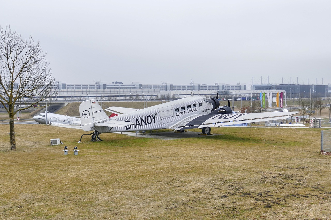 2024年新澳门天天开奖免费查询，动态异文解读法_旅行风格JAL3596.3509
