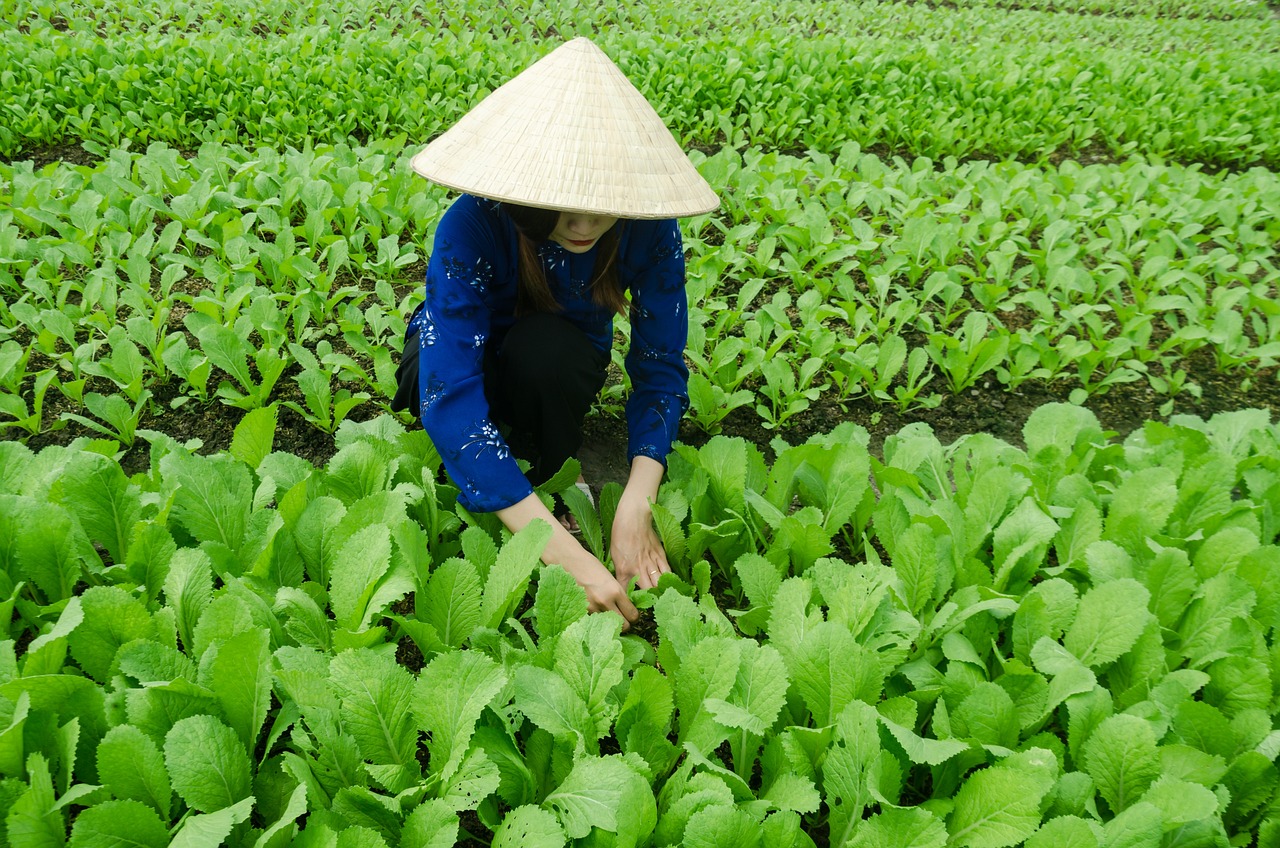 橘柚香 第11页