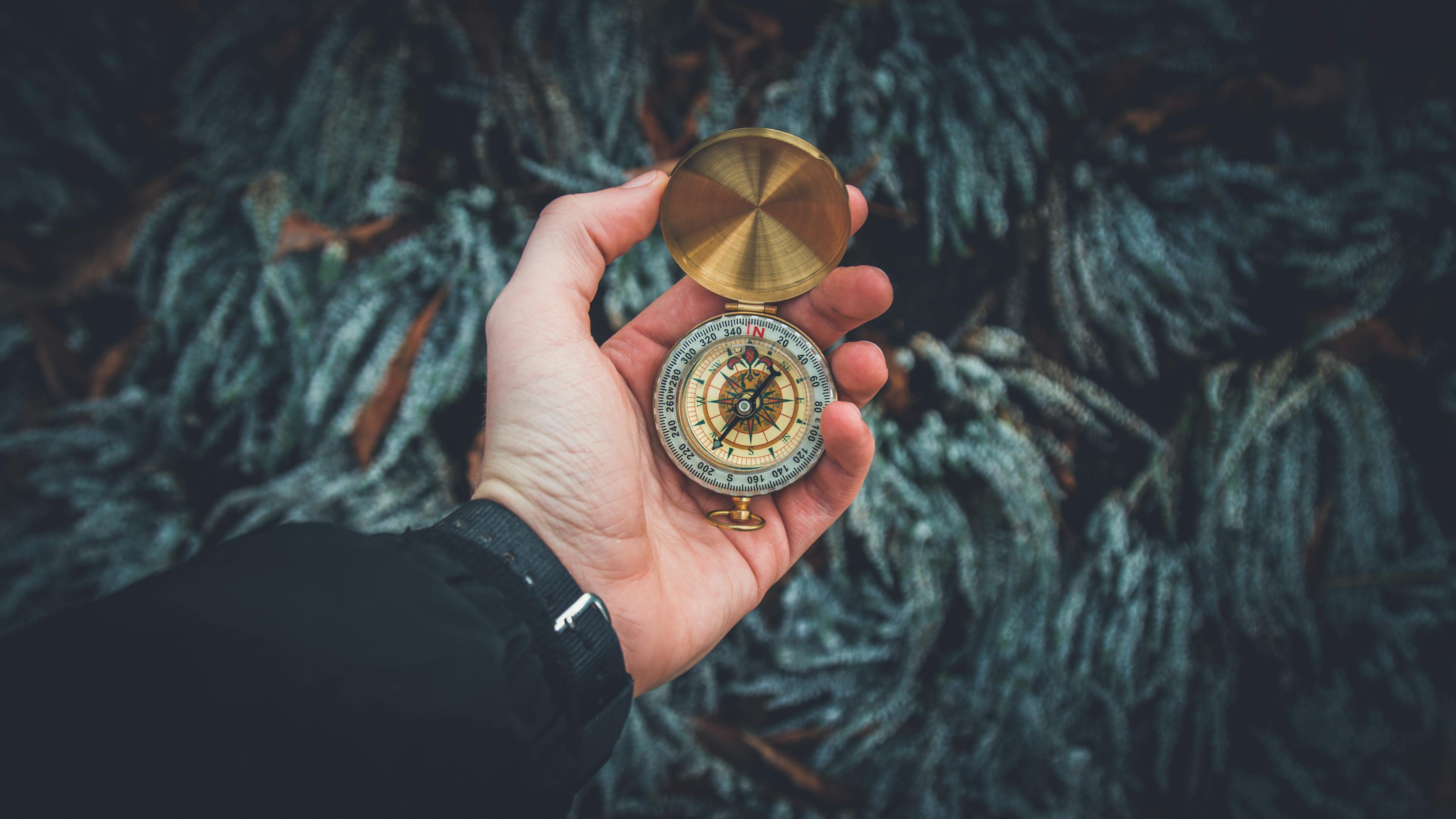 五月炼金术士的最新探索与发现成果